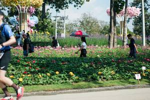 BIB: 
                            <button type="button" onclick="openModal(27608704)" class="btn btn-primary btn-sm float-right btn-popup" data-toggle="modal" data-target=".modal-high-quality">
                        <i class="fas fa-shopping-cart"></i> Add to Cart
                    </button>
                                            <button type="button" onclick="isThisMe(27608704, true)" class="btn btn-success btn-sm float-right btn-popup btn-isme hidden" data-toggle="tooltip" data-placement="bottom" title="นี่คือรูปของคุณใช่ไหม คลิกที่นี่เพื่อเอาเข้าอัลบั้ม">
                        <i class="fas fa-plus"></i> Add to album
                    </button>
                    <button type="button" onclick="isThisMe(27608704, false)" class="btn btn-warning btn-sm float-right btn-popup btn-isnotme hidden">
                        <i class="fas fa-ban"></i> Remove from album
                    </button>